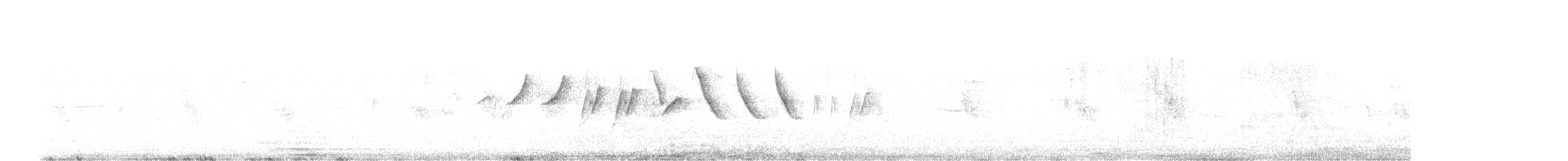 Sporophile à col blanc - ML639554190