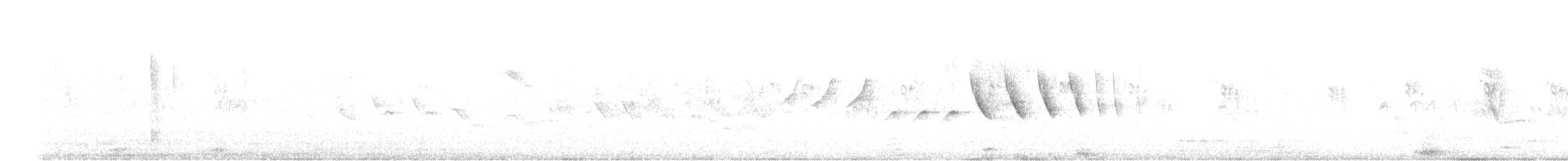Sporophile à col blanc - ML639554191