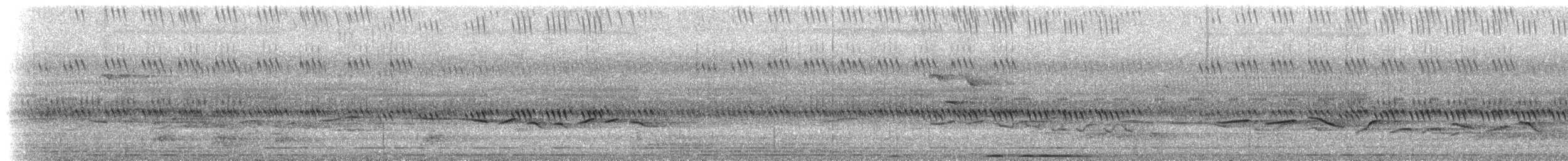 Chouette leptogramme - ML639554405