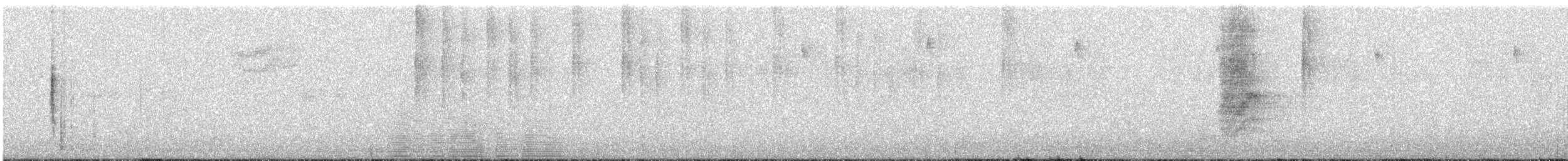 Paruline grise - ML639555510