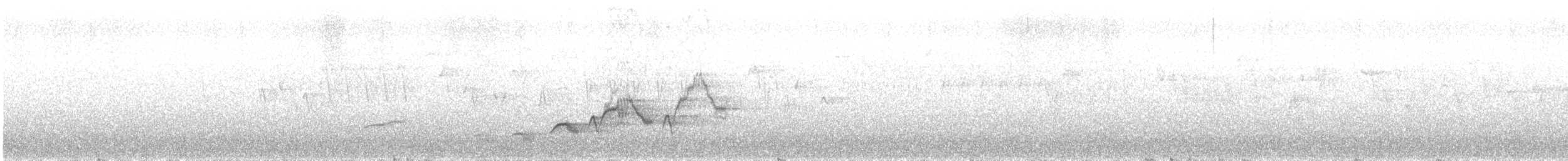 Swainson's Thrush (Russet-backed) - ML639555774