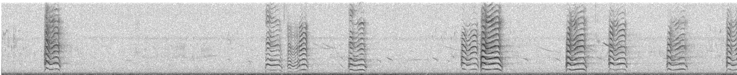 Antxeta mokogorri amerikarra - ML639557073