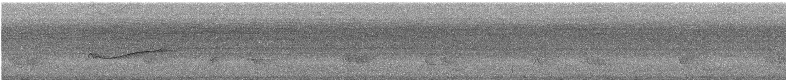 Eastern Wood-Pewee - ML639558753