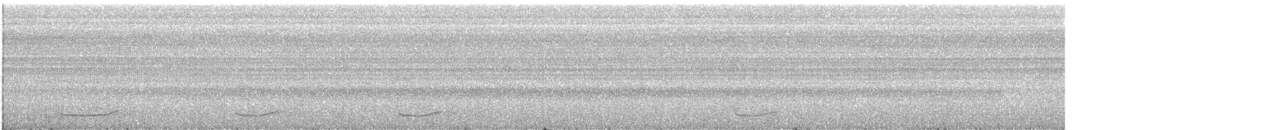 Short-tailed Nighthawk - ML639559561