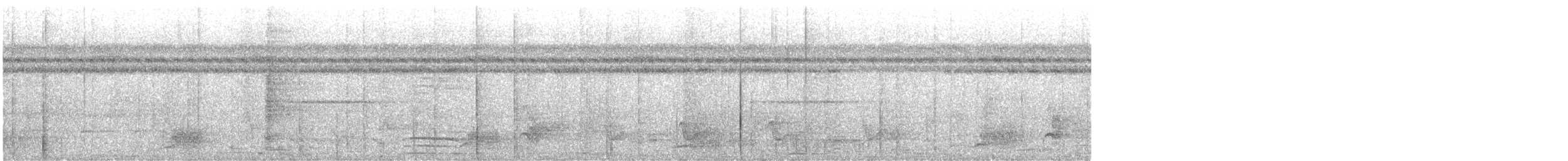 Papua Gevezeardıcı - ML639559696