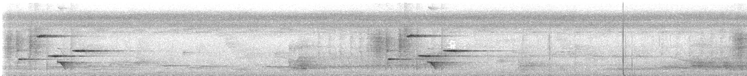 Ak Karınlı Kara Katmerkuyruk - ML639559739