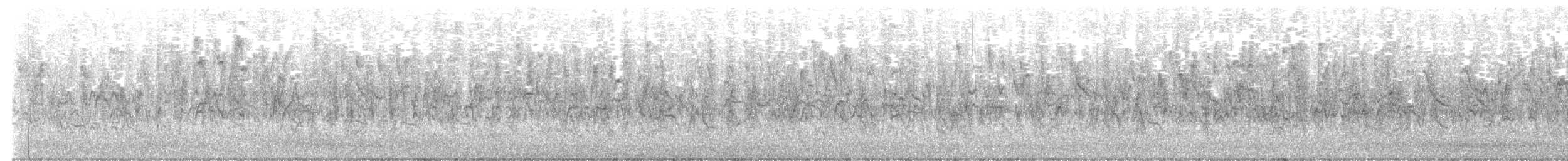 Black-chinned Siskin - ML639560204