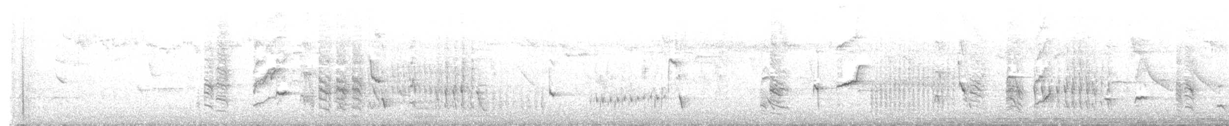 Austral Blackbird - ML639560895