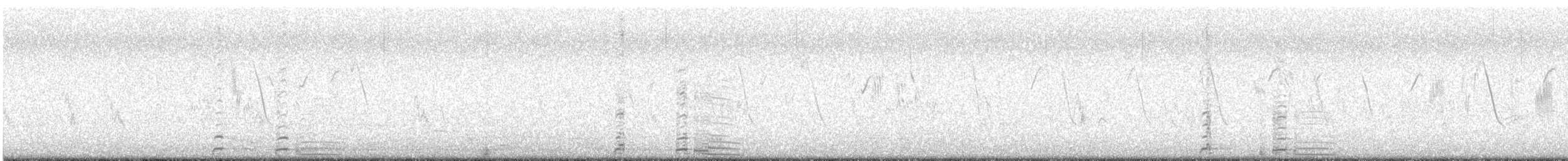 Coscoroba Swan - ML639561039