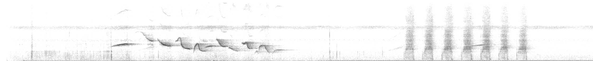 Troglodyte à poitrine tachetée - ML639561387