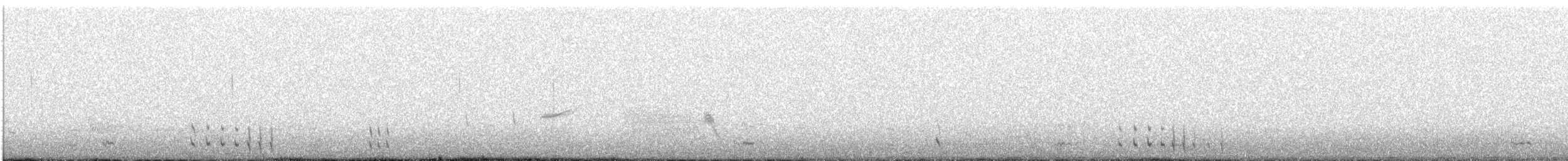 Least Seedsnipe - ML639562117