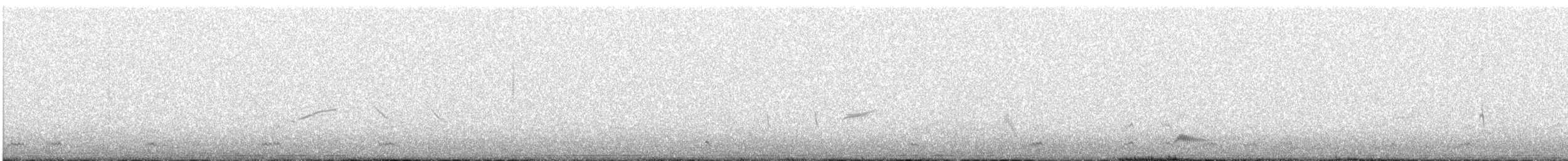 Least Seedsnipe - ML639562150