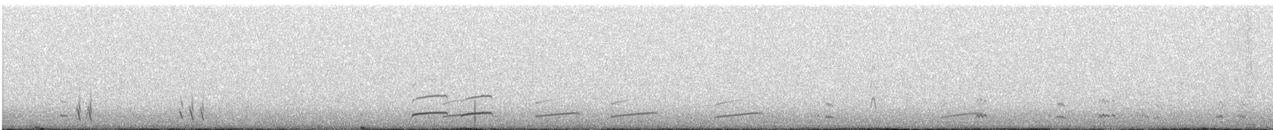 Least Seedsnipe - ML639562151