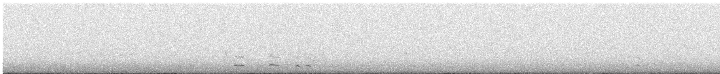 Least Seedsnipe - ML639562174