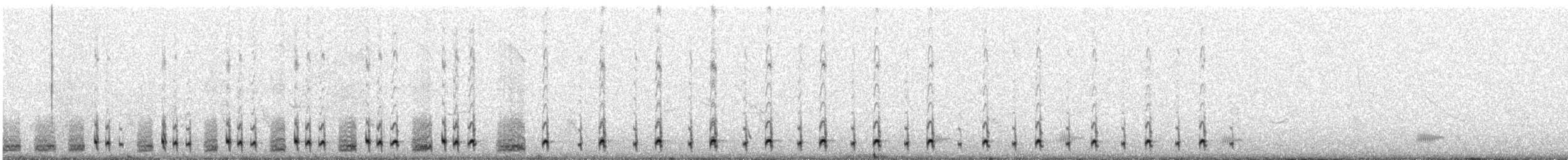 Least Seedsnipe - ML639562258