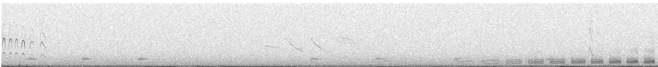 Least Seedsnipe - ML639562259