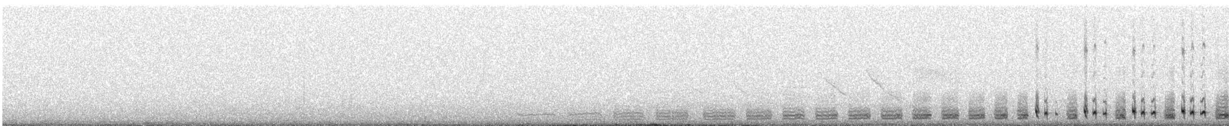 Least Seedsnipe - ML639562261