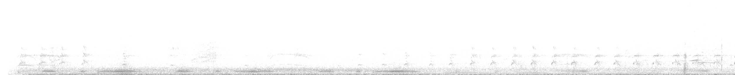 シロボシバト - ML639562454