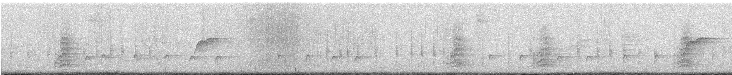 Greater Pewee - ML639562581