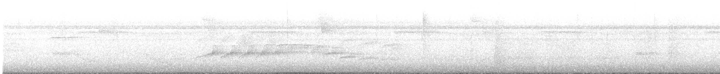 Bicolored Antbird - ML639562987