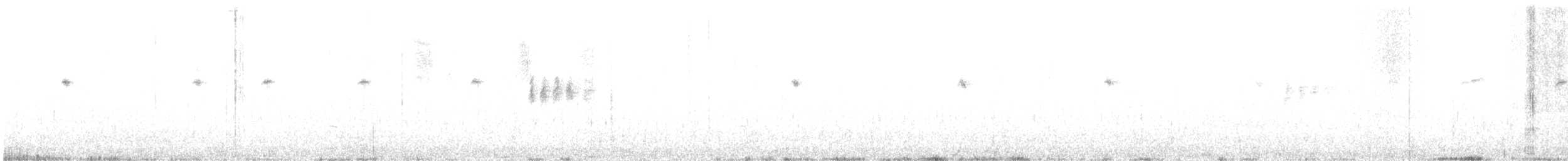 Cincle d'Amérique - ML639563374