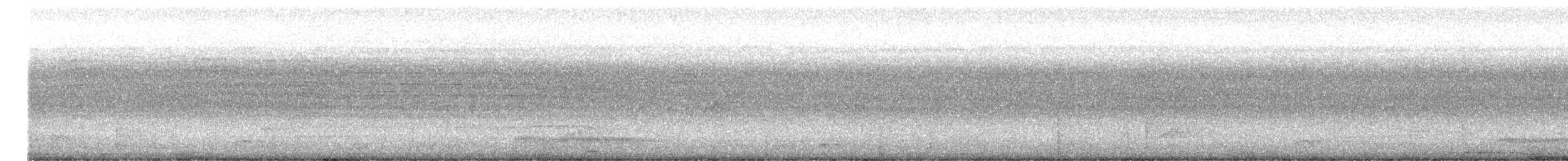Southern Bentbill - ML639564220