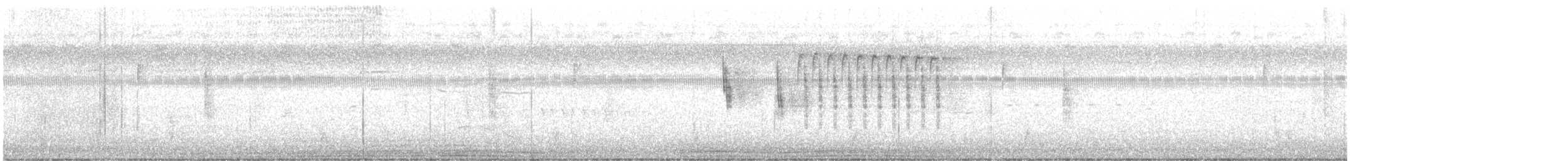 Sedge Wren - ML639565824