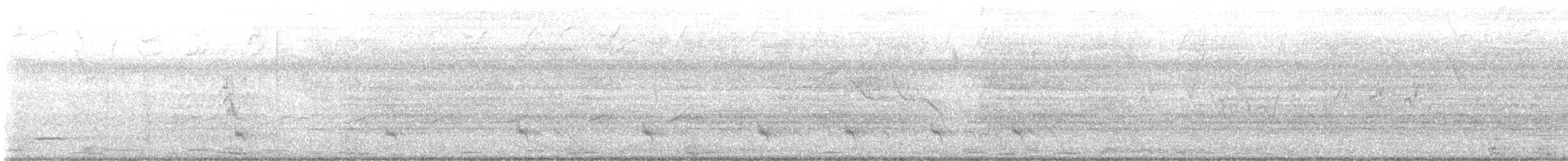 Black-striped Sparrow - ML639568165