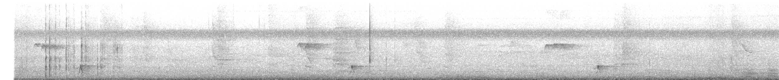Black-striped Sparrow - ML639568345