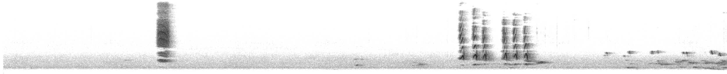 White-plumed Honeyeater - ML639570317