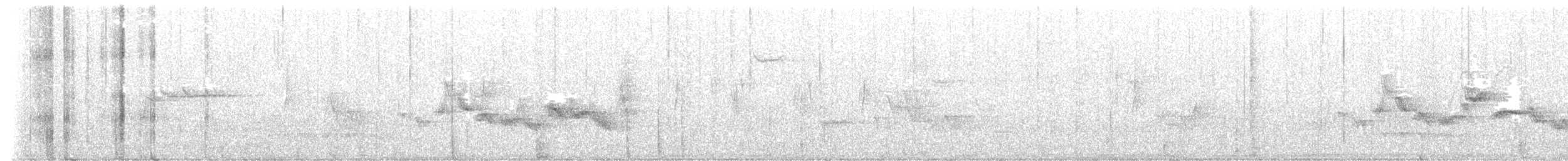 Eastern Warbling Vireo - ML639572188