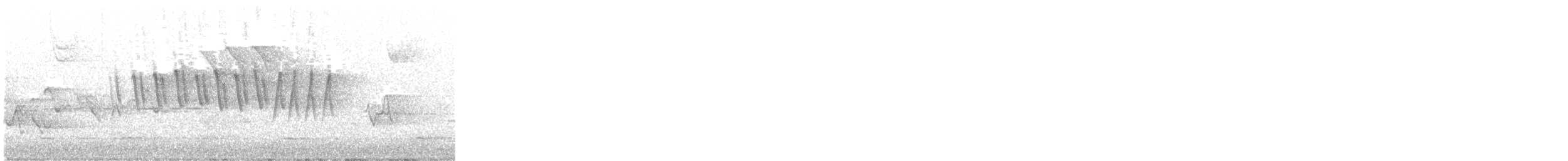 Wilson's Warbler - ML639572204