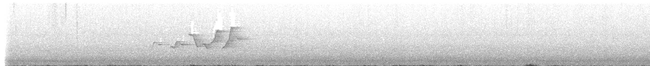 Hooded Warbler - ML639572218