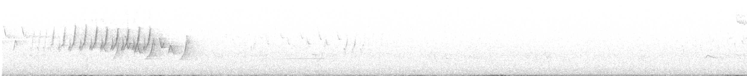 Palm Warbler - ML639572473