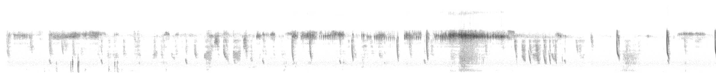 Broad-tailed Hummingbird - ML639574056