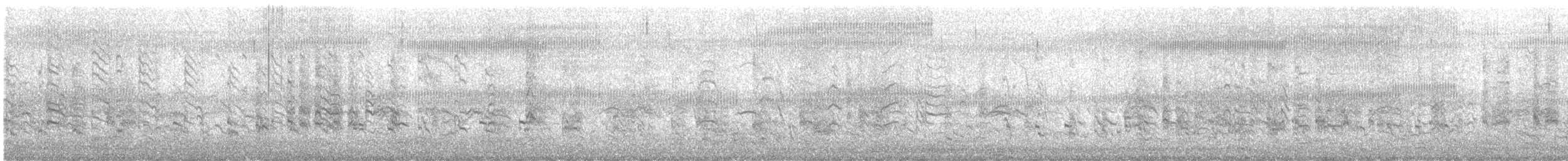 Saunders's Gull - ML639576175