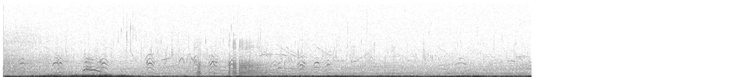 Coscoroba Swan - ML639577389