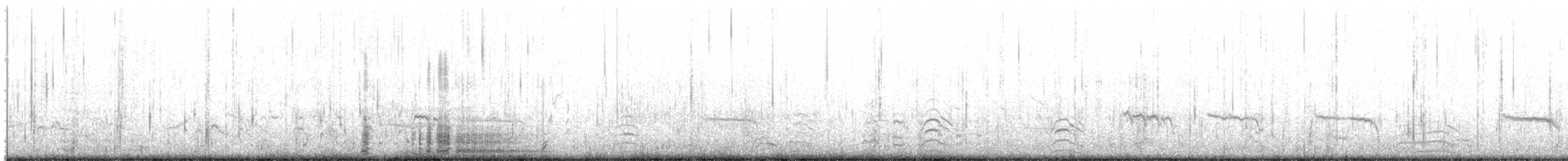 Coscoroba Swan - ML639577390
