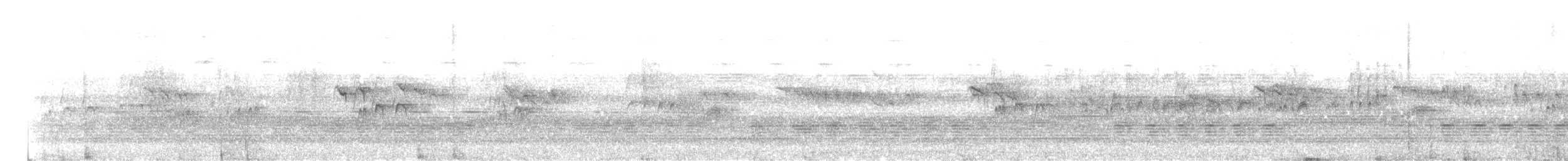 White-bellied Erpornis - ML639577992