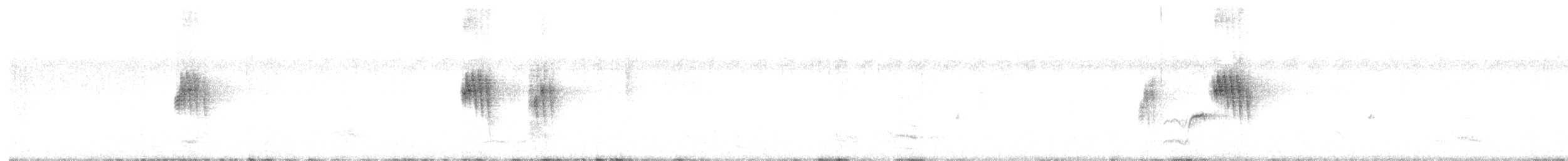 Black Grasswren - ML639578116