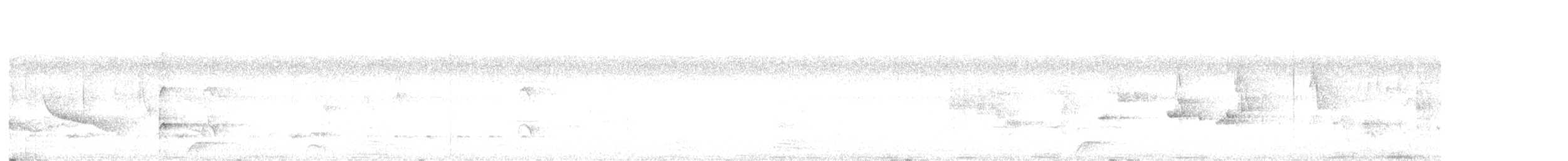 Musk Duck - ML639578554