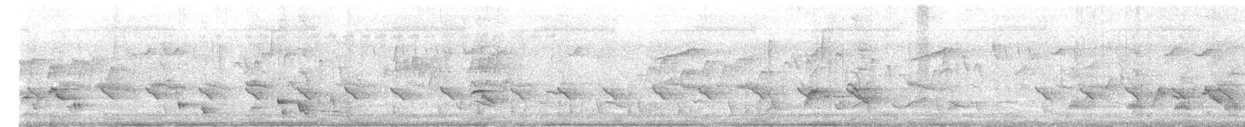 Bronzed Drongo - ML639579512
