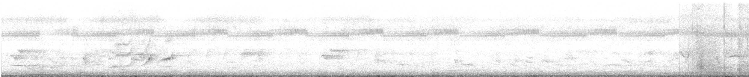 Common Woodshrike - ML639579629