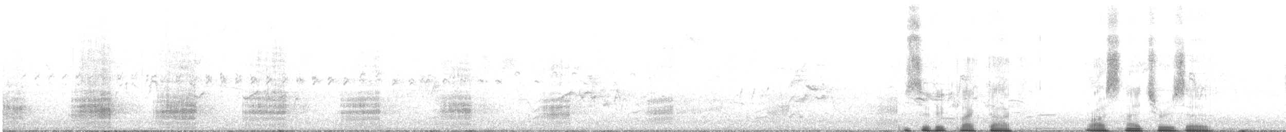 Pacific Black Duck - ML639580405