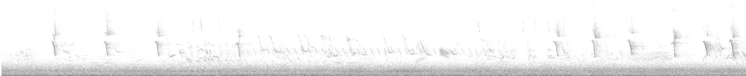 White-plumed Honeyeater - ML639580430