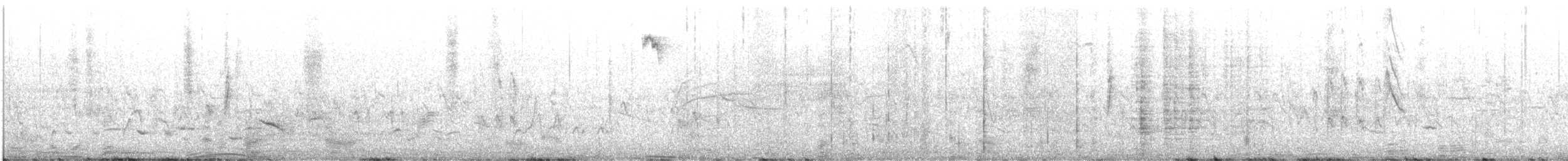 Scott's Oriole - ML639580614