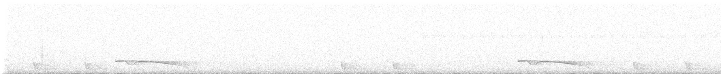 Great Eared-Nightjar - ML639581067