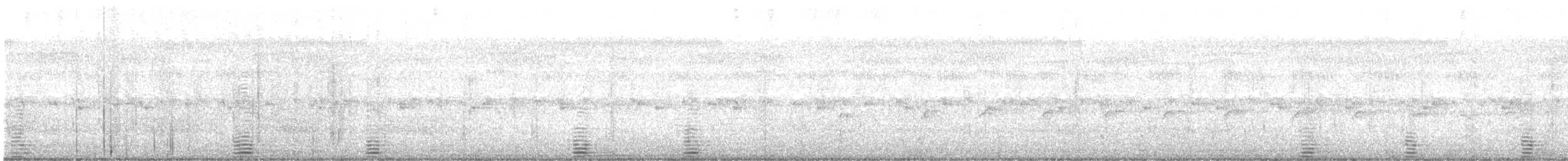 Magpie Goose - ML639582736