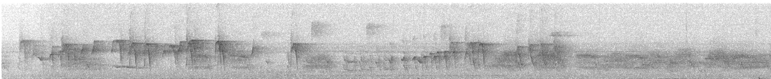 Dot-winged Antwren - ML639582864