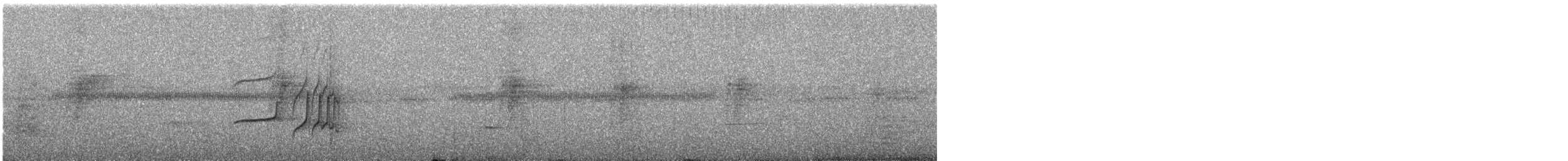 Moucherolle à longs brins - ML639582905